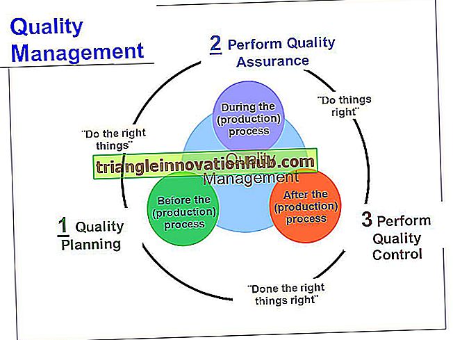 Ein ideales Management-Kontrollsystem (12 Prinzipien)