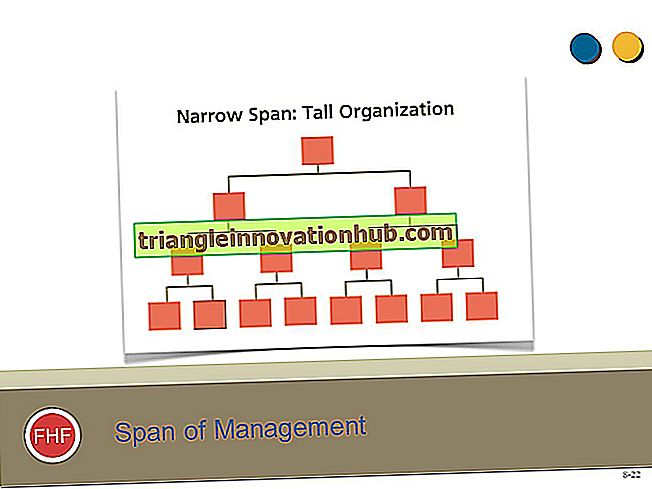 Management of Management (bred mot smal span) - förvaltning