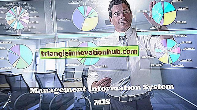 Management Information System: (Definition und Ziele) - Verwaltung