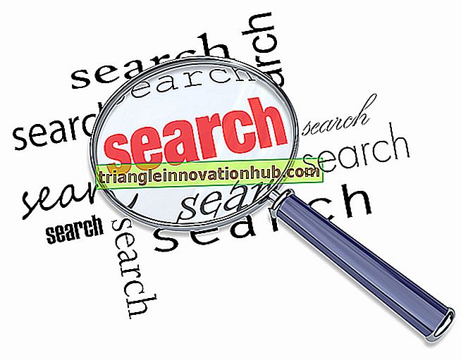 Marketinginformationen: Informationsbedarf für die Marktforschung - Marketing