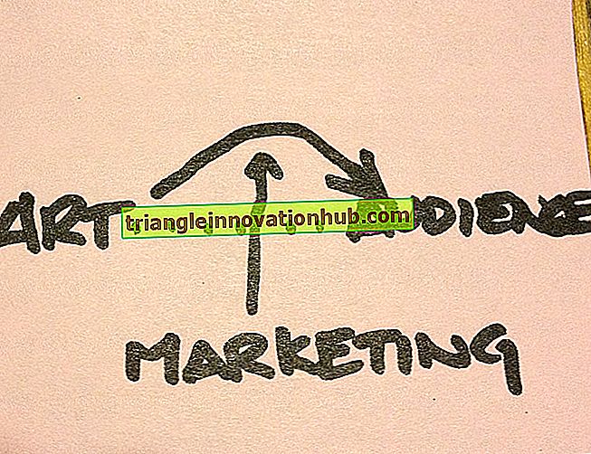 Entrepreneurial Marketing: Hinweise zum Entrepreneurial Marketing und seinen Ansätzen - Marketing