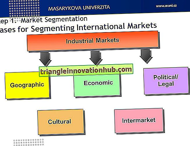 8 bases principales pour la segmentation du marché