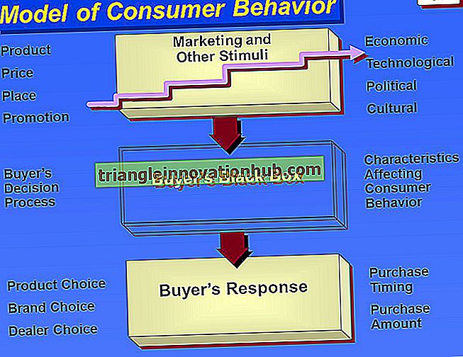 Influenza dell'ambiente sui consumatori (con il modello di comportamento dei compratori diversi) - marketing