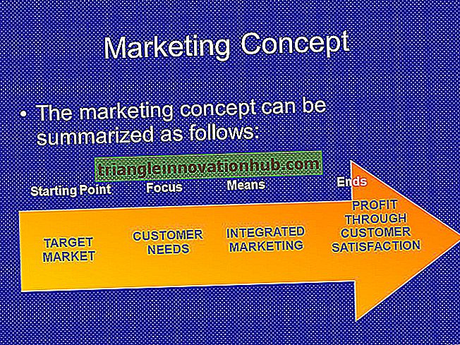 Marketingkonzepte: Profit und Kundenzufriedenheit erreichen - Marketing