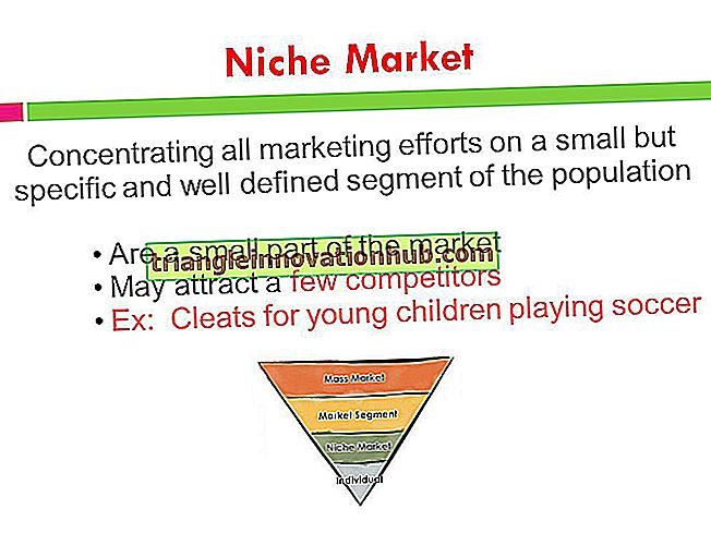 Marketing de nicho: Ventajas y problemas del marketing de nicho