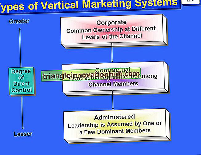 Vertikales Marketingsystem und horizontale Marketingstrategie - Marketing