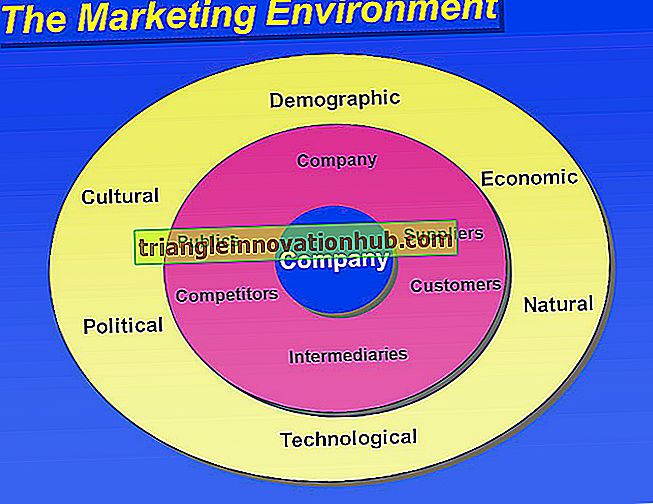 Macro y Micro Entorno de Marketing (Con Diagrama)