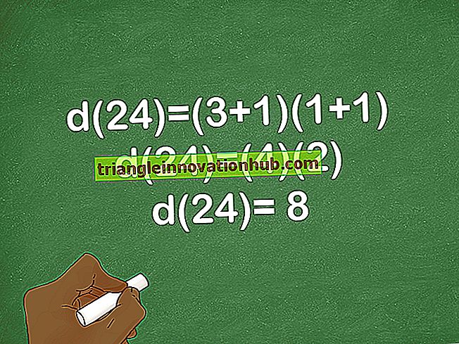 Hvordan finder man Divisors fra 2 til 19? - matematik division