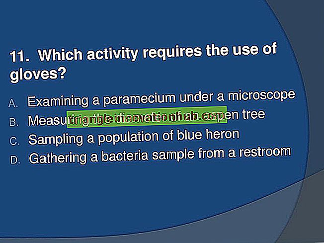 Eksperyment do pomiaru wielkości mikroorganizmów pod mikroskopem (z rysunkiem) - mikro biologia