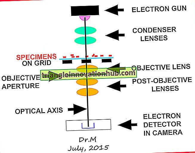 Le fonctionnement du microscope à champ noir avec diagramme de rayons (avec figure) - micro biologie