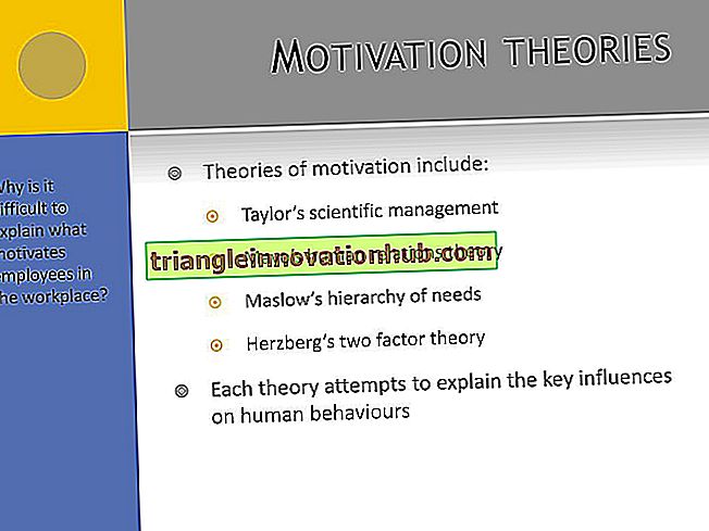 Maslows Theorie und Herzbergs Motivationstheorie - Motivation