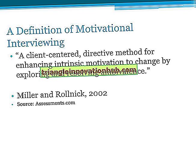 Motivationsforschung: Definition und Techniken - Motivation
