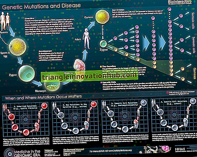 Gen Mutasyonu: Gen Mutasyonu Üzerine Faydalı Notlar - mutasyon