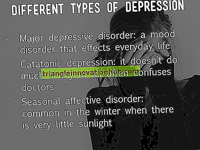 Depressiv lidelse: korte noter om depression - noter