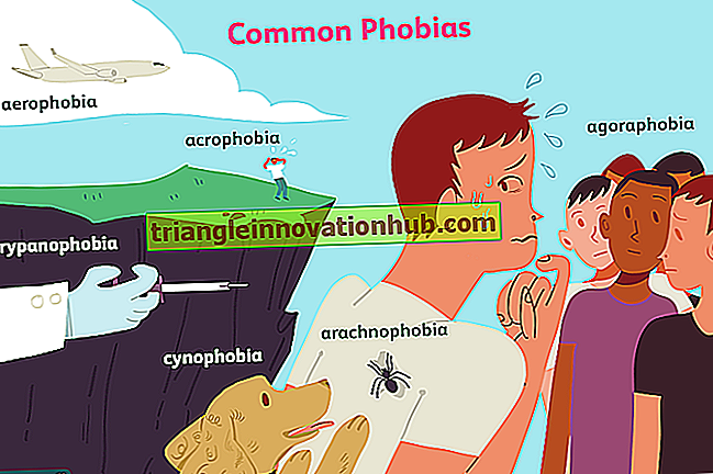Phobie: Notes sur la phobie (types, symptômes, théories et traitement de la phobie) - Remarques