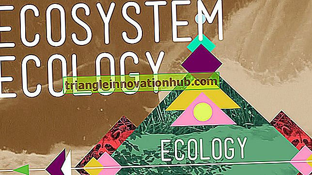 Økologi: Foredrag om økologi og økosystem - noter