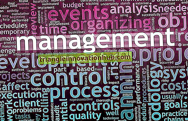 Kantoor: betekenis, belang, organisatie van een kantoor en zijn principes - kantoor management