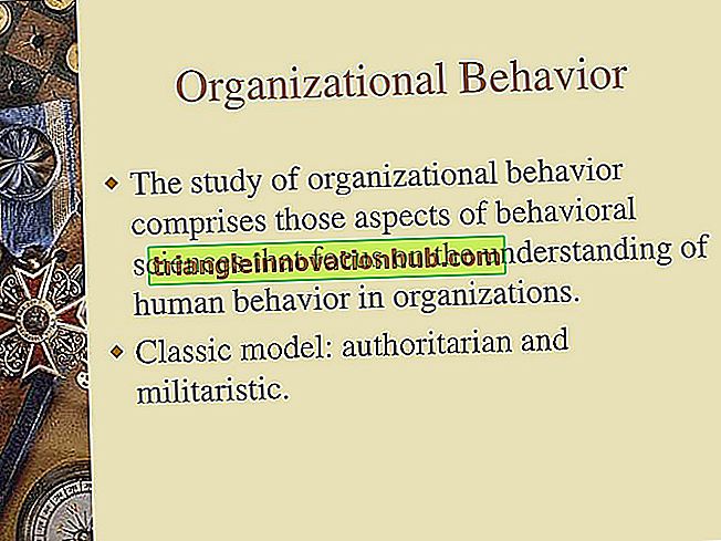Comprensione del comportamento interpersonale nell'organizzazione (con diagramma)