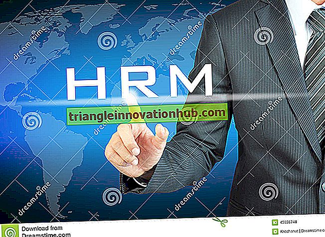 Human Resource Management in virtuele organisatie - organisatie
