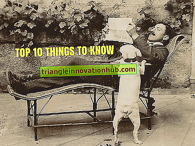 Las 15 principales cosas que debe saber sobre el personal - organización