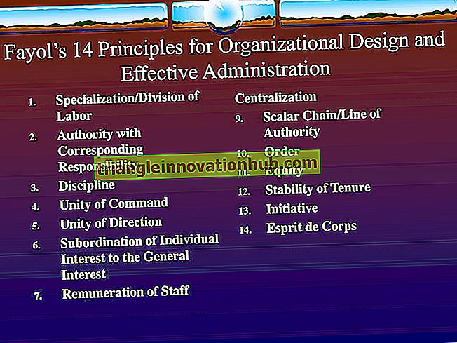 Principales 14 principios de una organización - organización