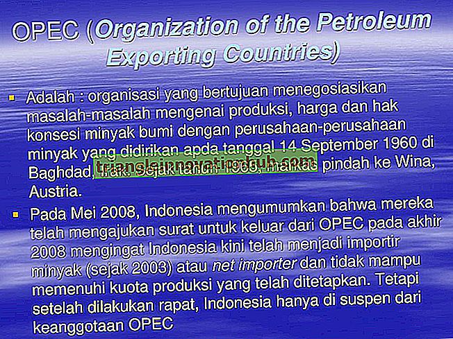 Organisation der Erdöl exportierenden Länder (OPEC) - Organisation