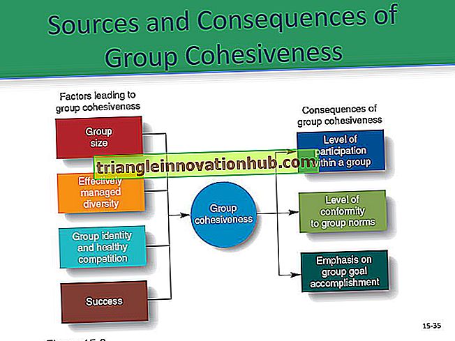 Desempeño grupal: Factores principales que afectan el desempeño grupal - organización
