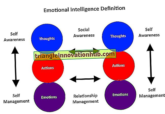 Emotionale Intelligenz: Bedeutung, Komponenten und Beweise - Organisation