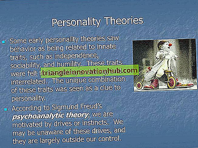 Diferentes teorías sobre la personalidad - organización