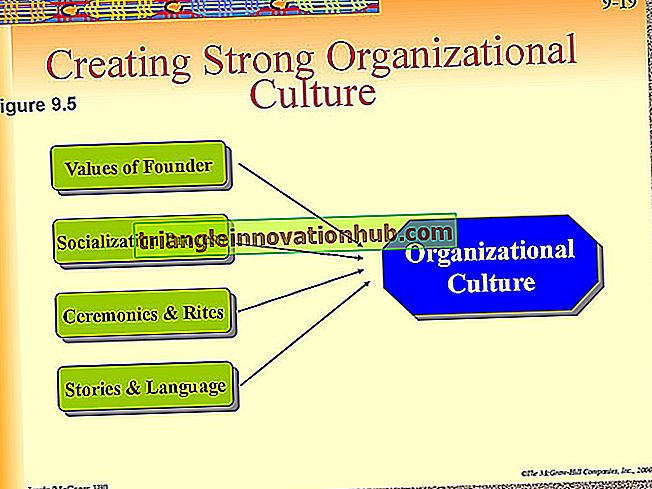Organisasjonskultur: Betydning, struktur og andre detaljer - organisasjon