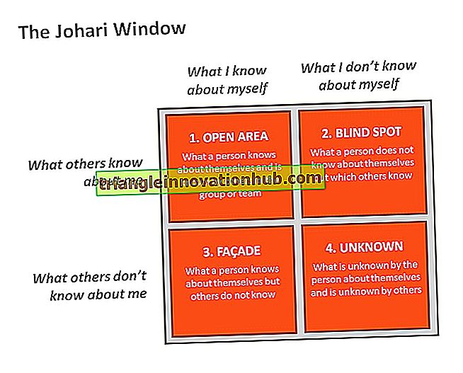 Johari Window Model (z wykresem) - organizacja