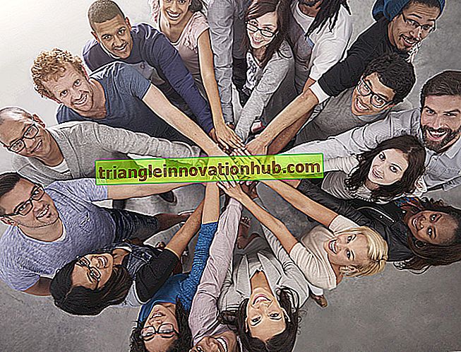 Equipos y trabajo en equipo de una organización (interrelación) - organización