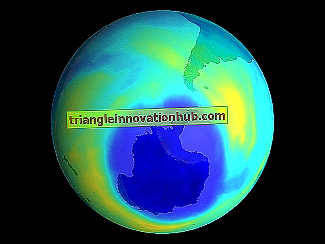 Ensaio sobre Depleção da Camada de Ozônio (463 Words) - ozônio