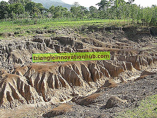 Punktai apie dirvožemio eroziją: prasmė, priežastys ir formos - pastraipose