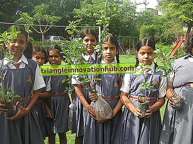 Vana Mahotsav ou cérémonie de plantation d'arbres - paragraphes