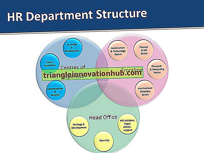 Organisationsstruktur der Personalabteilung - Personalmanagement