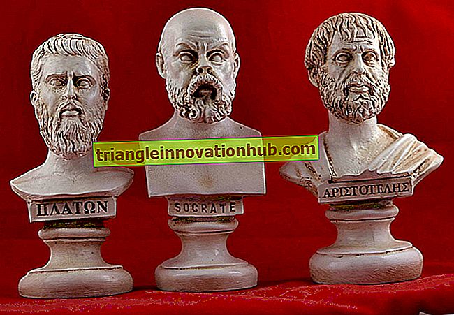 Aristoteles innflytelse på gresk filosofi - filosofi