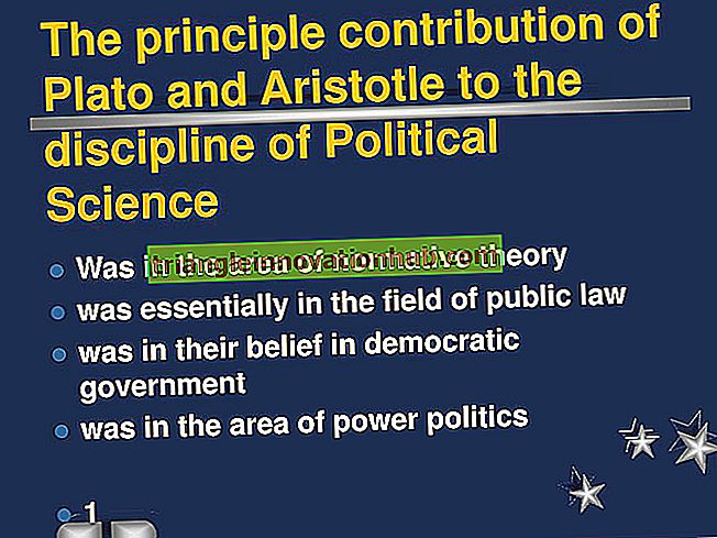 Contribuição da Economia para a Ciência Política - Ciência Política