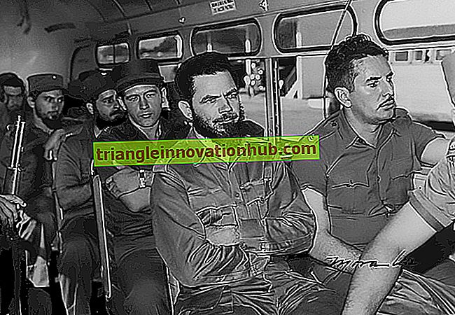 Fidel Castro: Revolução cubana e experiência cubana - Ciência Política
