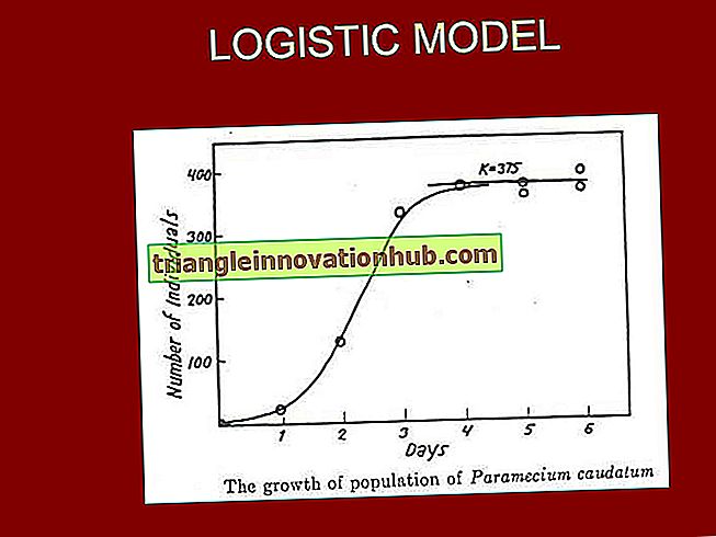 Logistisches Gesetz des Bevölkerungswachstums - Population