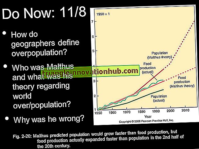 Bevölkerungstheorien: Malthus-Theorie, Marx-Theorie und Theorie des demographischen Übergangs - Population