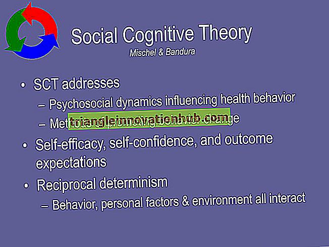 العوامل التي تؤثر على السلوك الاجتماعي - علم النفس