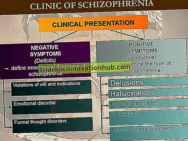 Schizophrene Störungen und ihre 3 Symptome - Psychologie