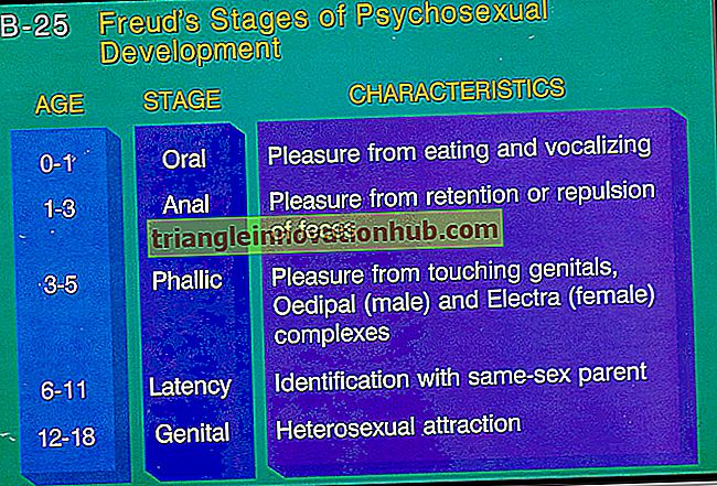 Psykoseksuell: Anteckningar om psykoseksuell genesis teori (5 etapper) - psykologi
