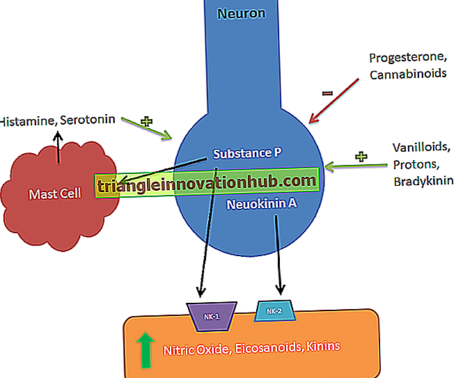 Plantestresshormon;  Abscisic - Kemisk struktur og fysiologiske effekter - videnskab