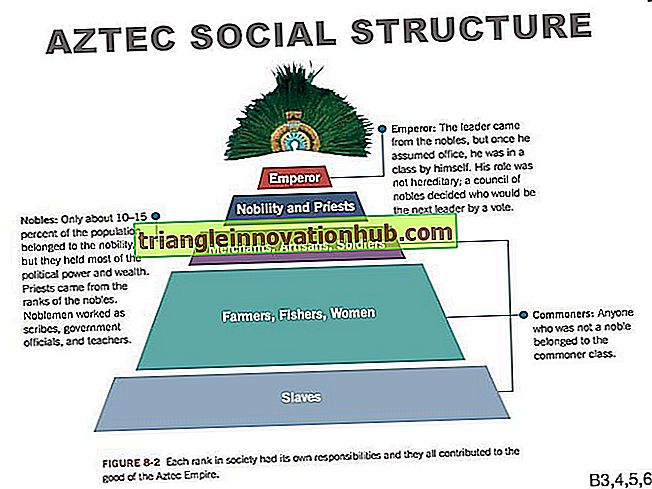 Was sind die Funktionen der Sozialstruktur? - Gesellschaft