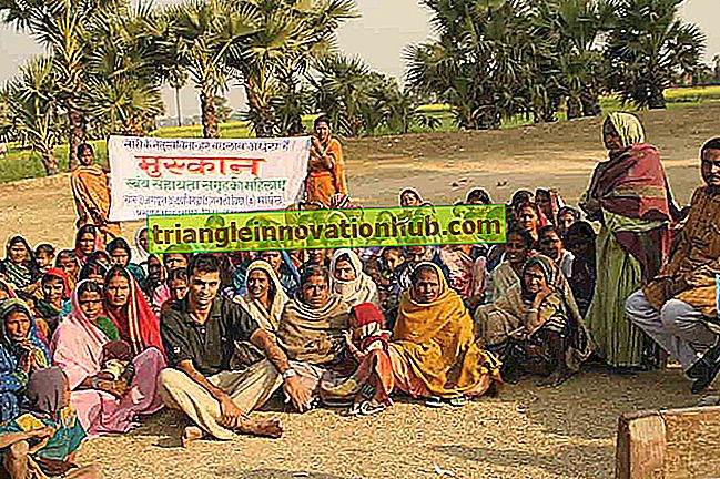 Stratyfikacja kasteńskiej wsi w socjologii wiejskiej - socjologia