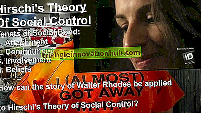 4 Teorías de la socialización - ¡Explicado! - sociología
