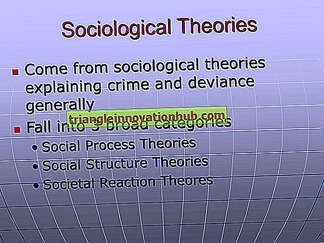 النظريات الاجتماعية لسلوك الإنسان - علم الإجتماع