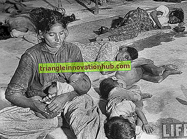 Bondebevegelser: Telangana Bonde Struggle (1947-51) - sosiologi